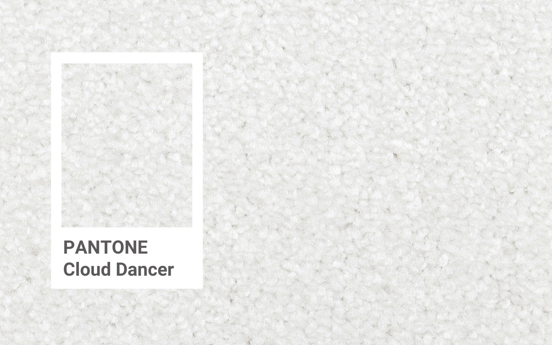 Detail koberce v barvě roku CLOUD DANCER.