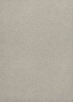 BIRCH 67