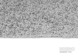 BIRCH 69 strieborný