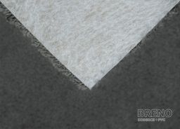 BIRCH 76