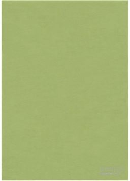 COLOR UNI Dark Green