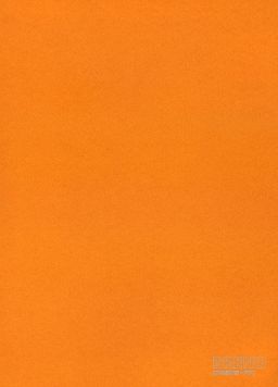 DESTINY 470 oranžový