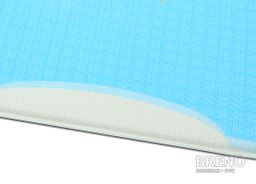 Dwinguler Ptáci v korunách