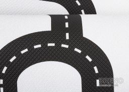 Dwinguler Výlet po ceste