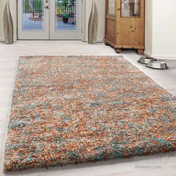 ENJOY SHAGGY 4500 Terra