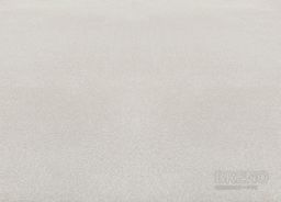 FAYE 09 (110)