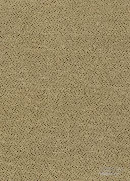 FORTESSE SDE NEW 138