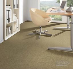 FORTESSE SDE NEW 138