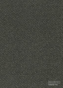 FORTESSE SDE NEW 299