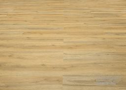 FUTURA LIGHT NEW SPC Click 1232 Dub Paris