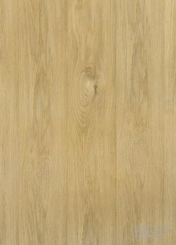 FUTURA LIGHT NEW SPC Click 1320 Dub Arles