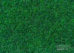 GREEN-VE 20 s NOPAMI