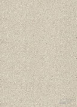 LASTING MEMORIES 1000 64 béžový