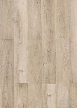 MAXIMUS CLICK 55 Highland Oak Canyon 39