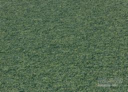 MEDUSA - PERFORMA 21 – zelený