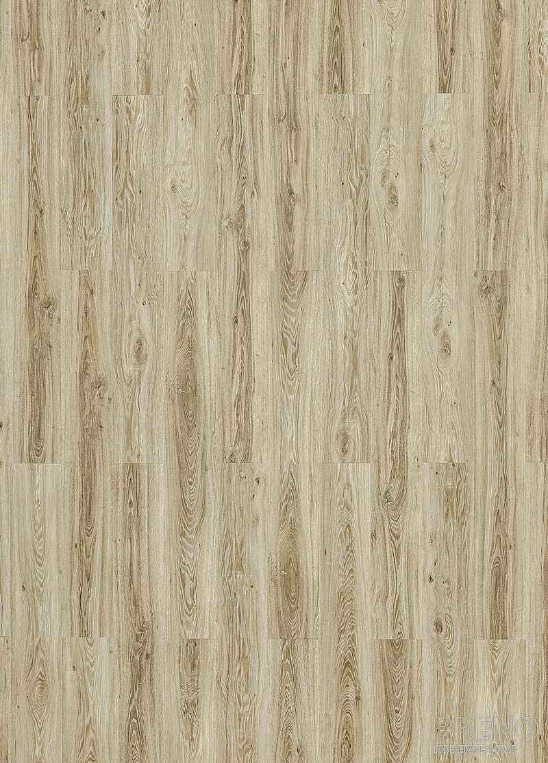 Vinylová podlaha MODULEO ROOTS 55 Blackjack Oak 22229 – světlé dřevo