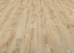 MODULEO ROOTS 55 EIR Galway Oak 87372 – světlé dřevo