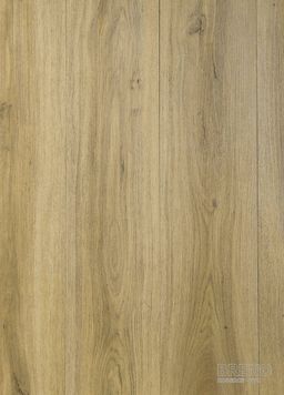 MODULEO S. - Classic Oak 24837