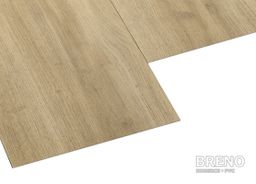 MODULEO S. - Classic Oak 24837