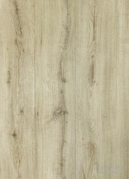 MODULEO SELECT CLICK Brio Oak 22247