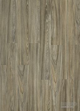 MODULEO TRANSFORM Baltic Maple 28884