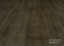 MODULEO VISION CLICK Renaissance Oak 24887