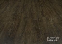 MODULEO VISION Renaissance Oak 24887
