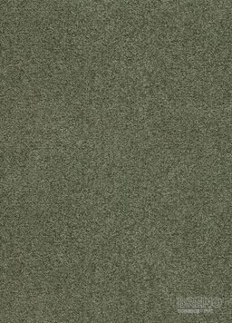 OMNIA 25 – tmavo zelený