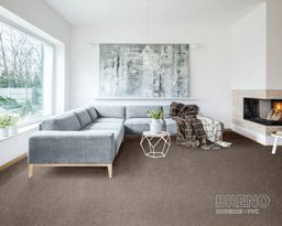 OMNIA 42 – hnědý