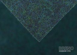 PICASSO 619 tmavozelený