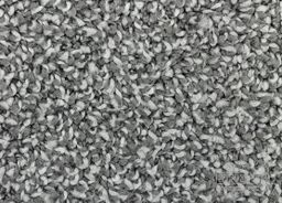 PICCADILLY 77 – sivý