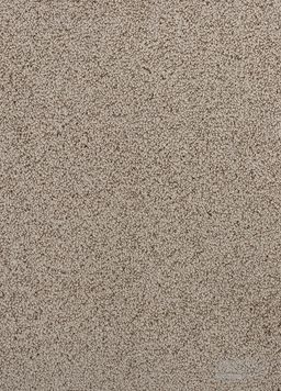 POINT-BET 650 – hnedý