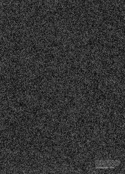 PRIMAVERA 236 – černý