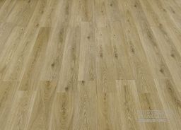 PRIMUS Natural 34