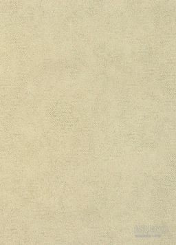 PVC CENTRA Artex T30