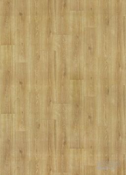 PVC EVOLUTION Maison 5