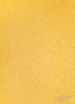 PVC IPERFORM 70 Rochus T56