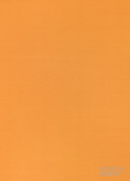 PVC IPERFORM 70 Rochus T66