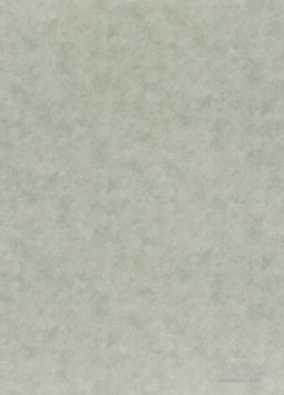 PVC LINETEX Bari 592