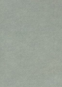 PVC RANGER Bronx G90