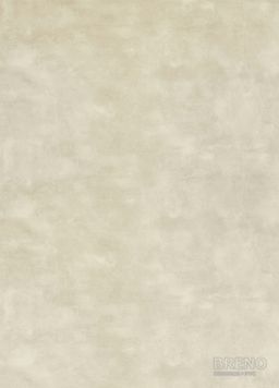 PVC RENOTEX Sting T31