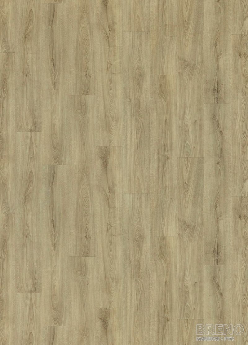 PVC RENOTEX Sundance Oak 543 – světlé dřevo s šedým nádechem