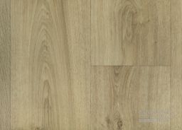 PVC RENOTEX Sundance Oak 543 – světlé dřevo s šedým nádechem