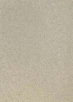 PVC VISION Avalon 938