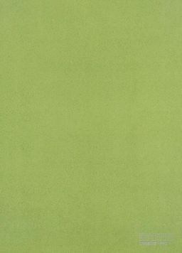 PVC XTREME Mira 550M – zelené