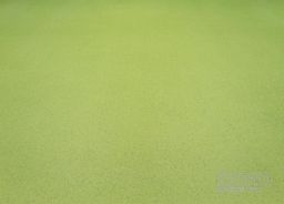 PVC XTREME Mira 550M – zelené