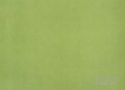 PVC XTREME Mira 550M – zelené