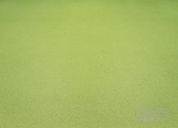 PVC XTREME Mira 550M