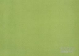 PVC XTREME Mira 550M