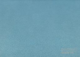 PVC XTREME Mira 770M